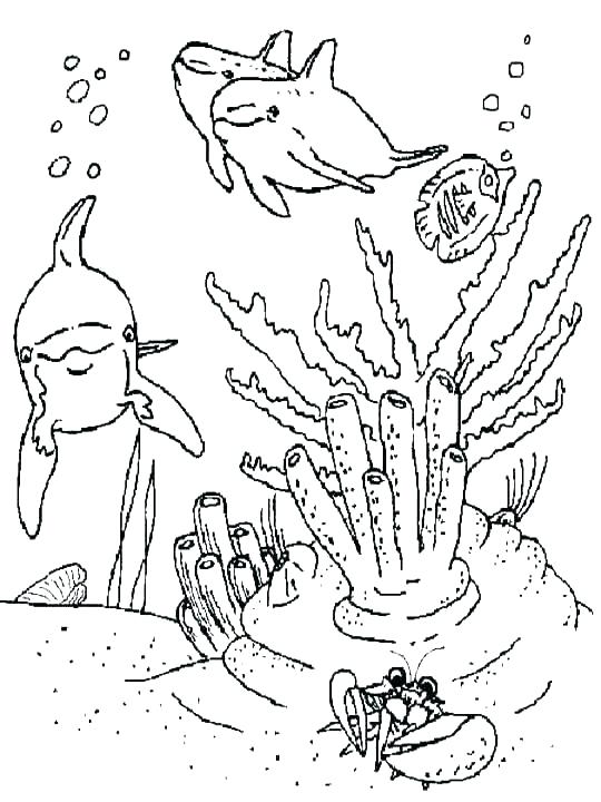 540x720 Ocean Scene Coloring Page Underwater Coloring Pages Ocean Scene