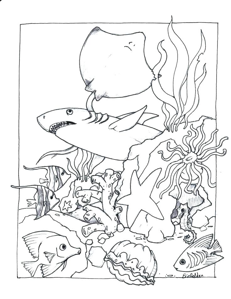 736x954 Ocean Scene Coloring Pages Ocean Coloring Sheets Draw Ocean