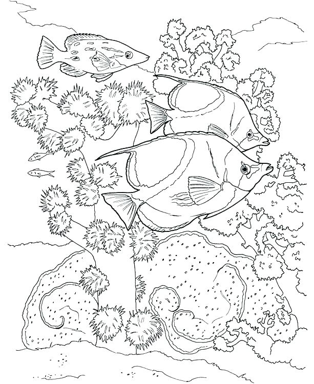 613x750 Underwater Coloring Ocean Scene Coloring Page Underwater Coloring