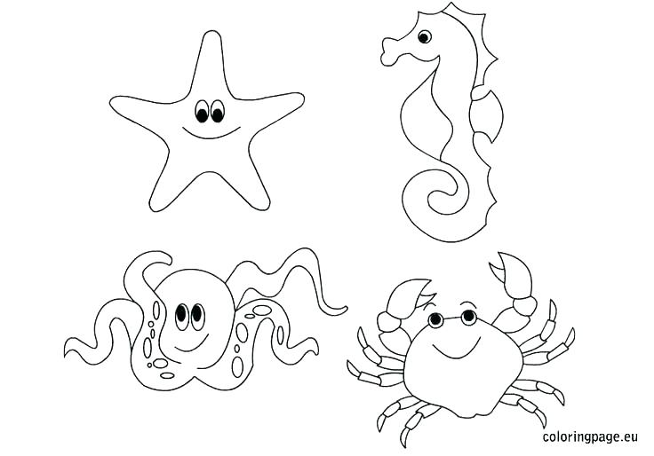 736x514 Underwater Coloring Page Ocean Coloring Sheets Ocean Scene