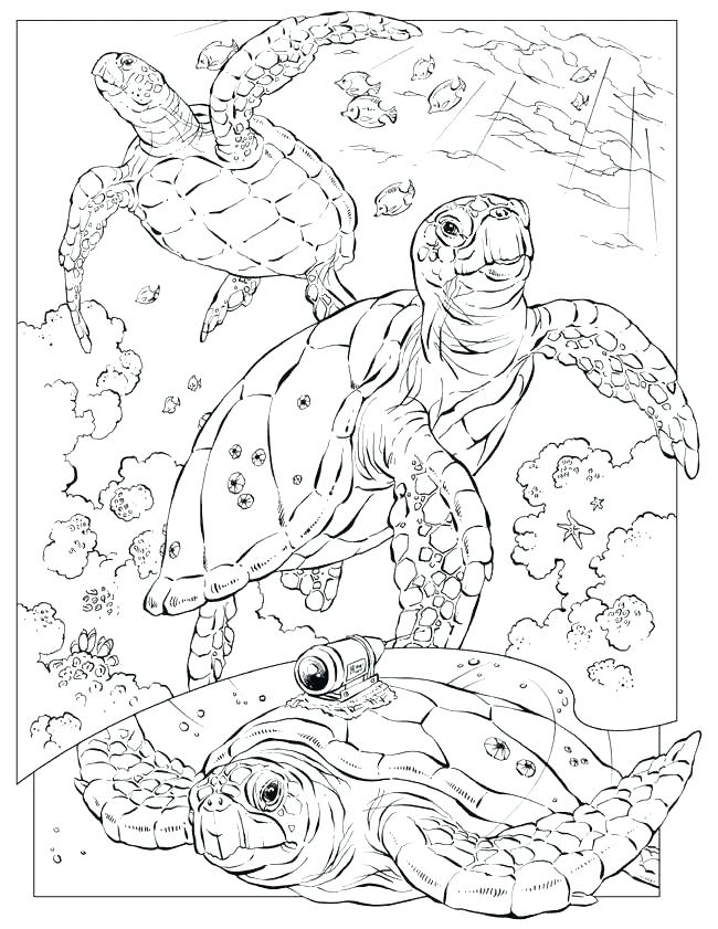 650x841 Ocean Coloring Page Ocean Scene Coloring Page Ocean Coloring Sheet