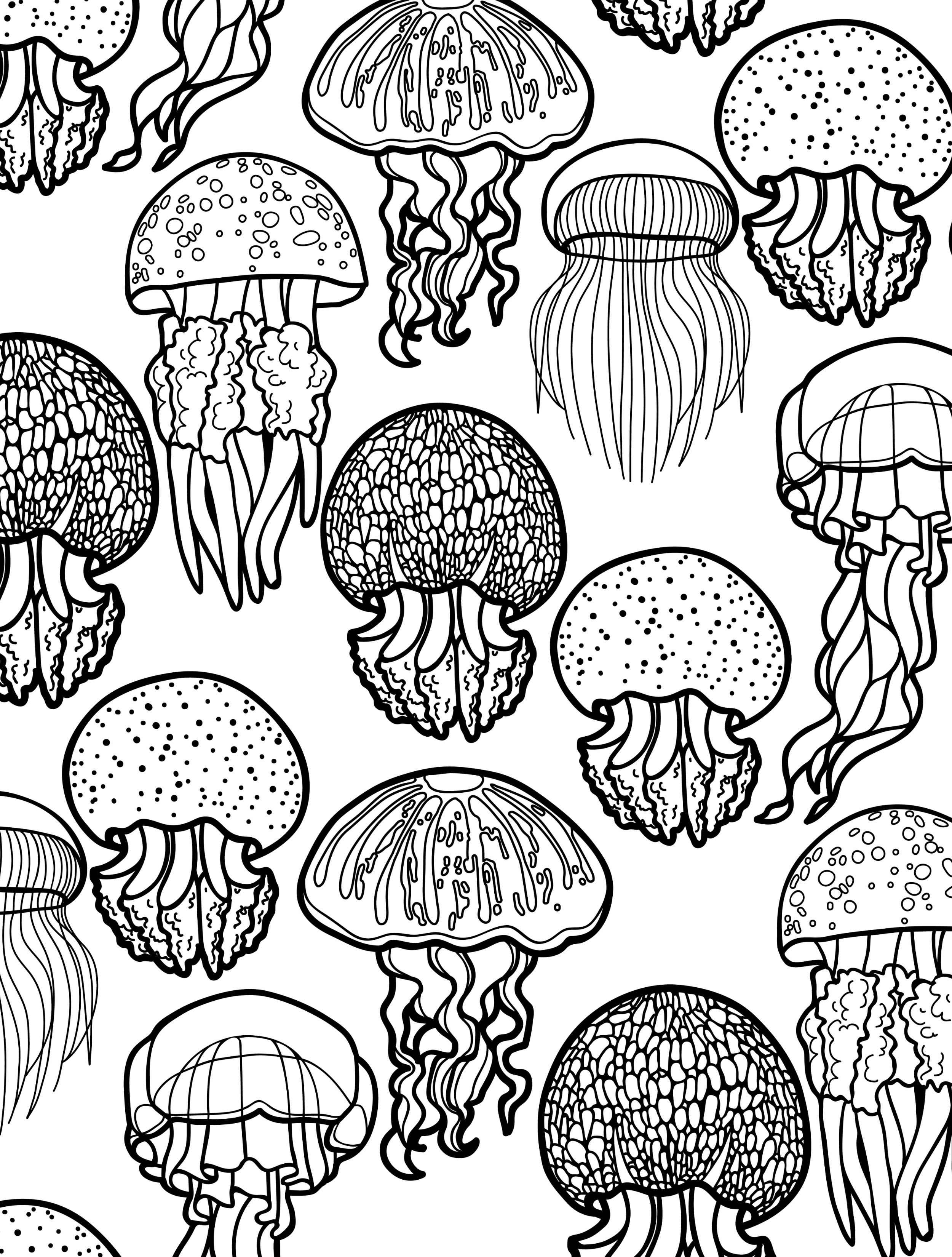 Ocean Theme Coloring Pages