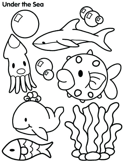 520x659 Ocean Coloring Pages For Kids Vanda