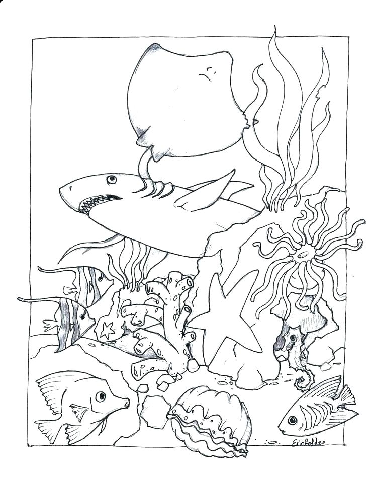 736x954 Coloring Pages Of Waves Ocean Waves Coloring Book Adults Coloring