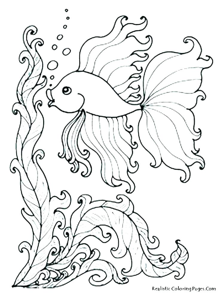 736x981 Ocean Color Pages Ocean Coloring Page Ocean Coloring Page