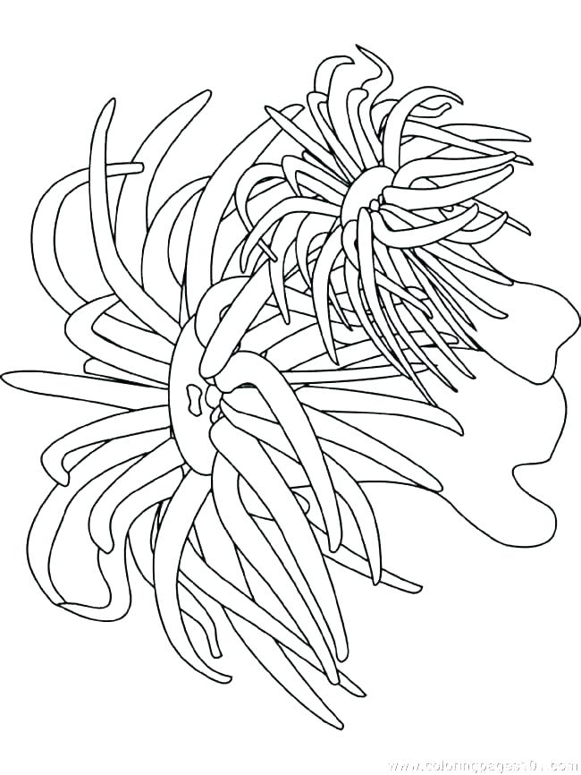 650x866 Printable Ocean Waves Coloring Pages Free