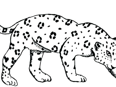 440x330 Ocelot Coloring Page Download Baby Ocelot Coloring Pages Ocelot