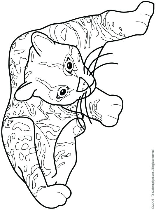 535x720 Ocelot Coloring Page Ocelot Coloring Page Ocelot Ocelot Colouring