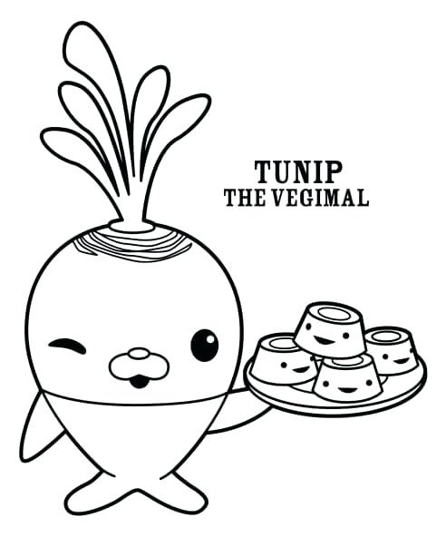 492x592 Octonauts Dashi Colouring Pages Free Printable Coloring