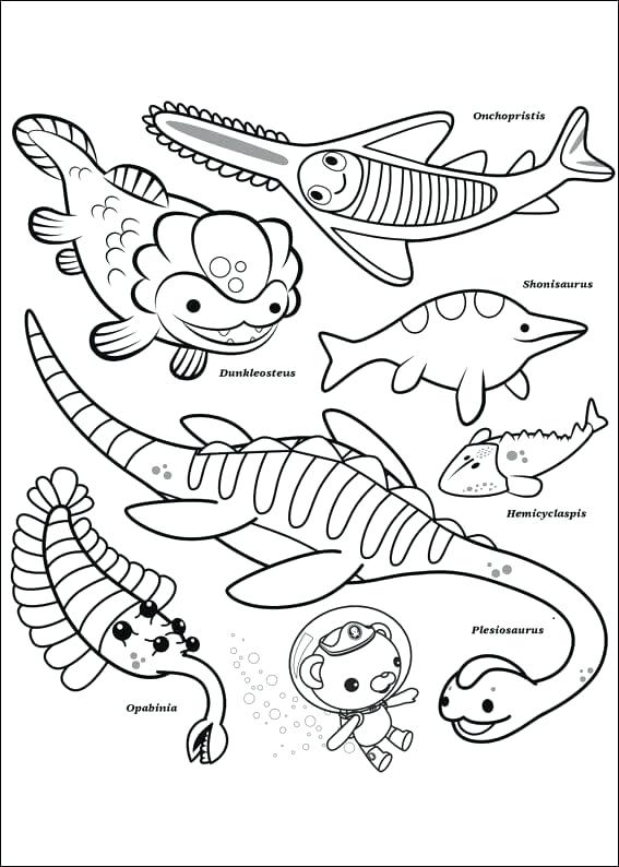 567x794 Coloring Pages Octonauts Free Printable Coloring Sheets Octonauts