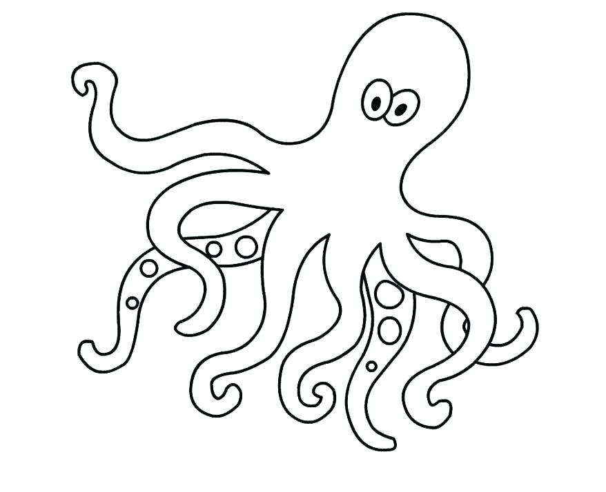 878x714 Octopus Color Page Octopus Color Page Octopus Color Page Octopus