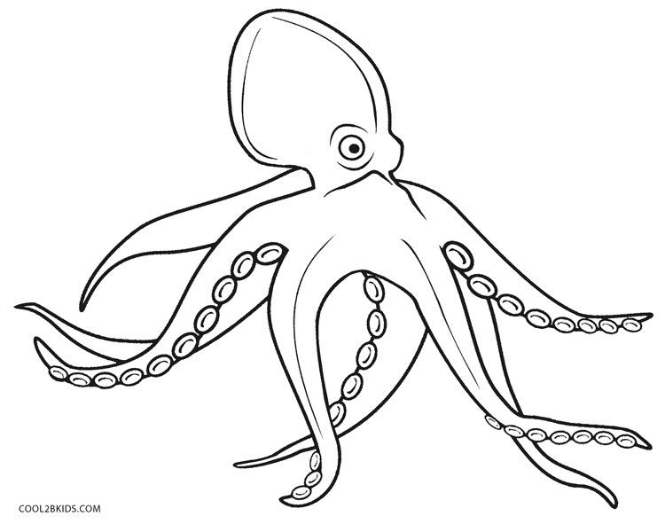 750x591 Printable Octopus Coloring Page For Kids Cool2bkids