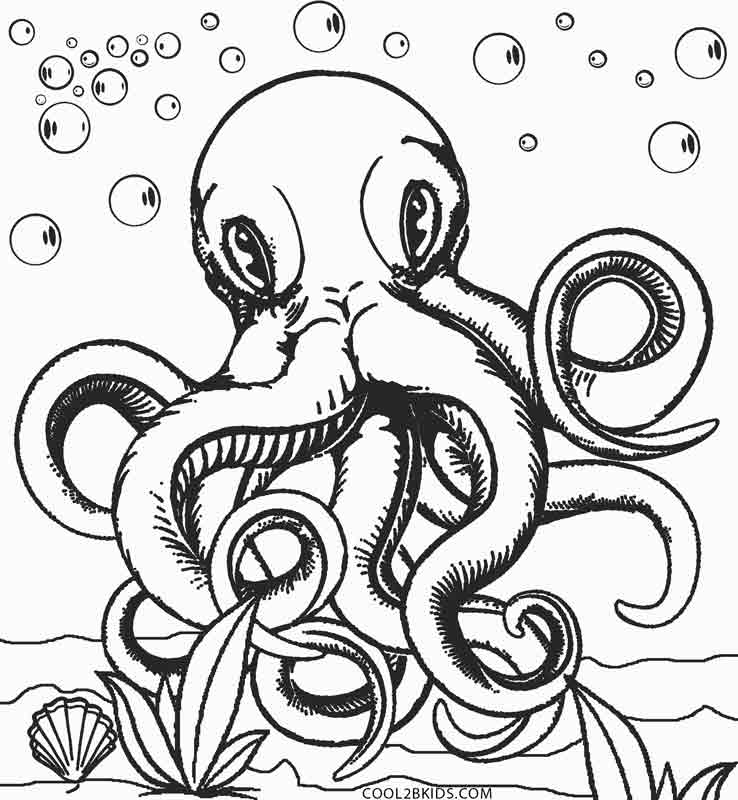 738x800 Realistic Octopus Coloring Page Printable Octopus Coloring Page