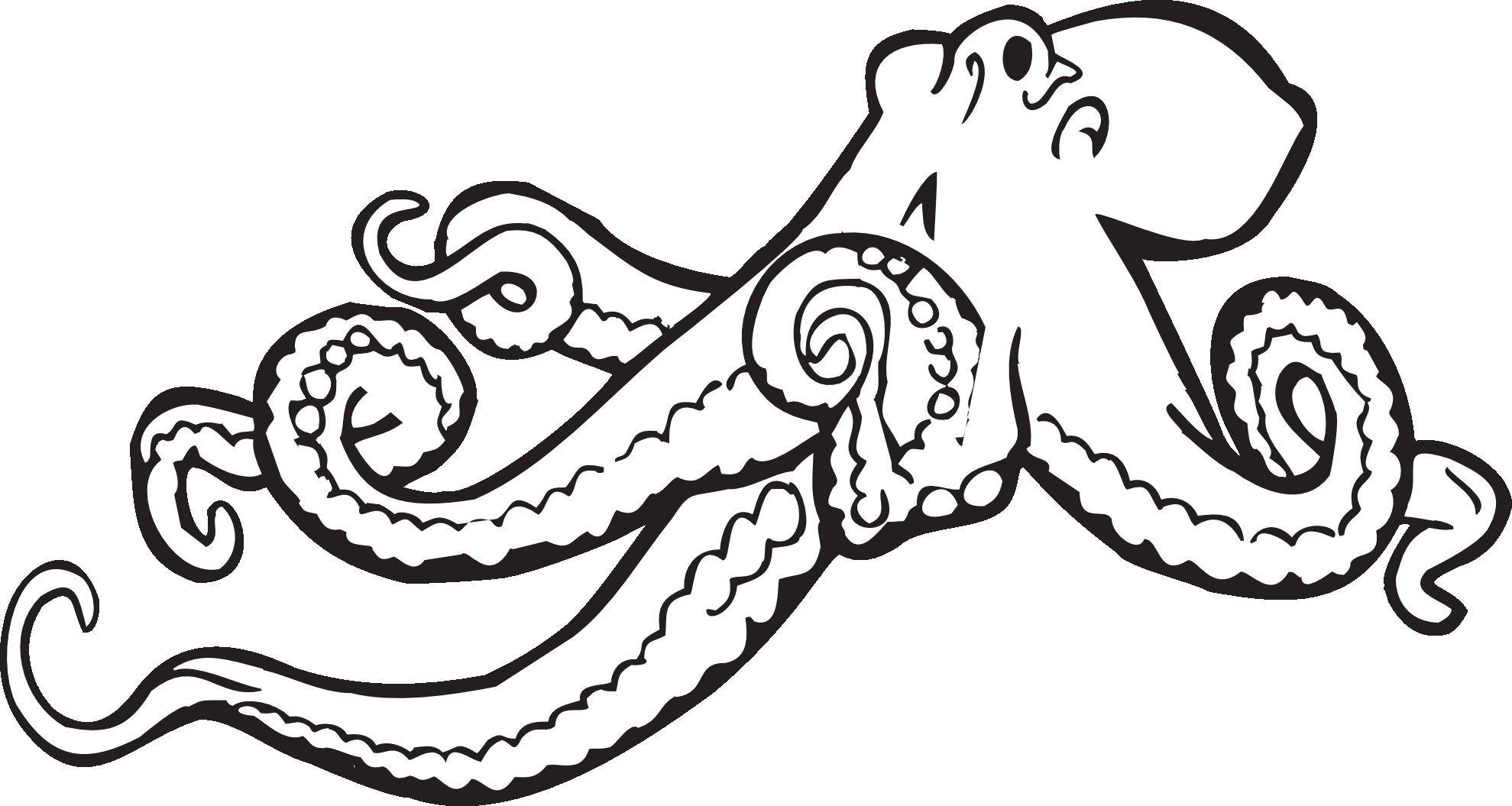 1979x1055 Strange Realistic Octopus Coloring Page Reveal