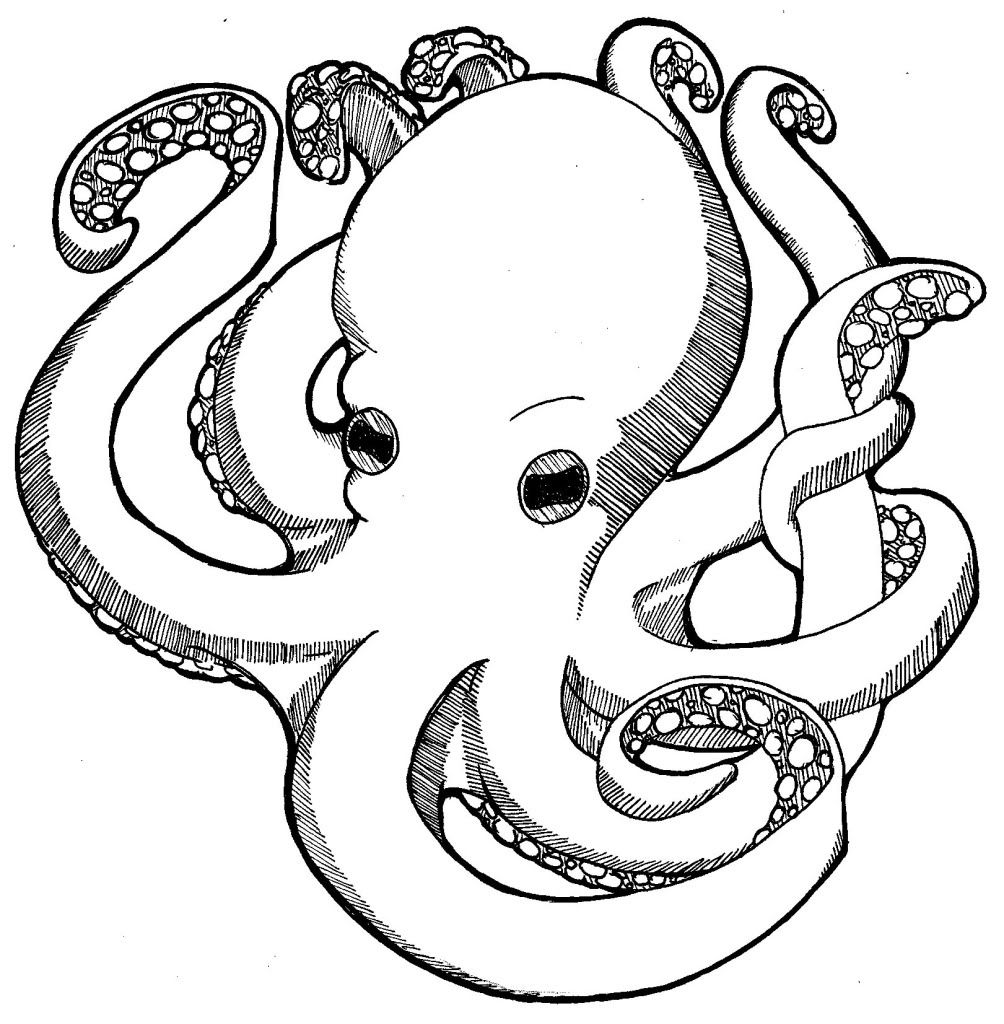 1004x1024 Wanted Realistic Octopus Coloring Page Free Printable Pages