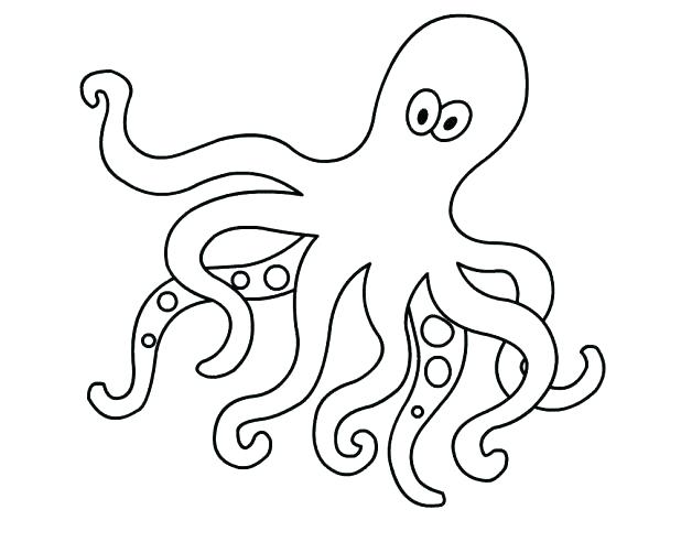 618x502 Octopus Color Page Octopus Color Page Printable Octopus Coloring