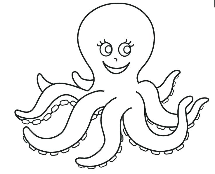 736x596 Octopus Coloring Page Octopus Ocean Coloring Page Octopus Coloring