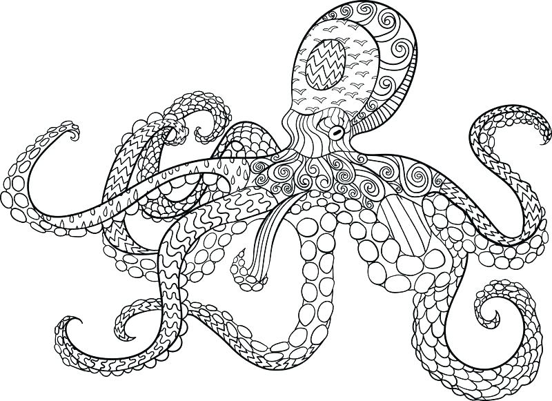 800x581 Octopus Coloring Page Octopus Color Page Dr Octopus Coloring Pages