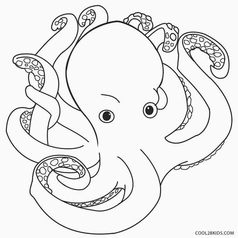 800x800 Printable Octopus Coloring Page For Kids Cool2bkids