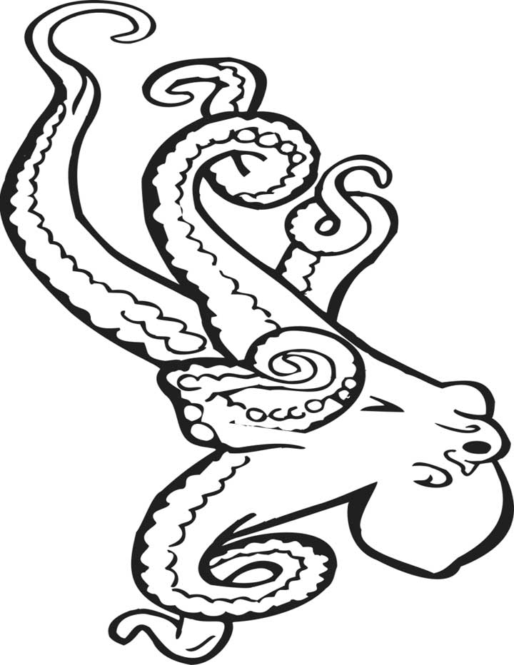 720x932 Printable Octopus Coloring Pages Coloring Me