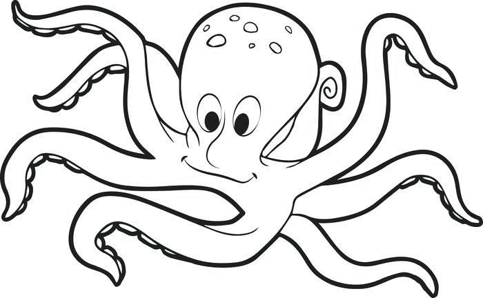 700x432 Octopus Coloring Pages Impair.co