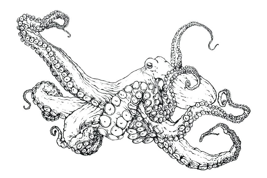 864x576 Coloring Pages Of Octopus Octopus Coloring Page Cartoon Octopus
