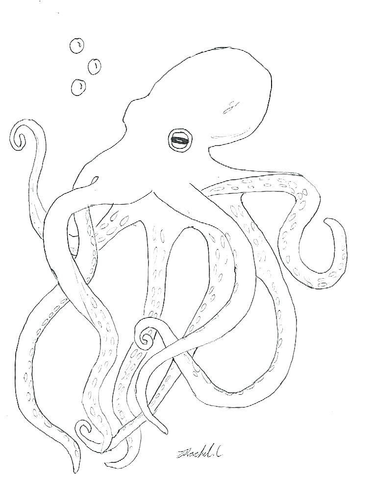 761x1021 Coloring Pages Of Octopus Octopus Coloring Pages Octopus Coloring