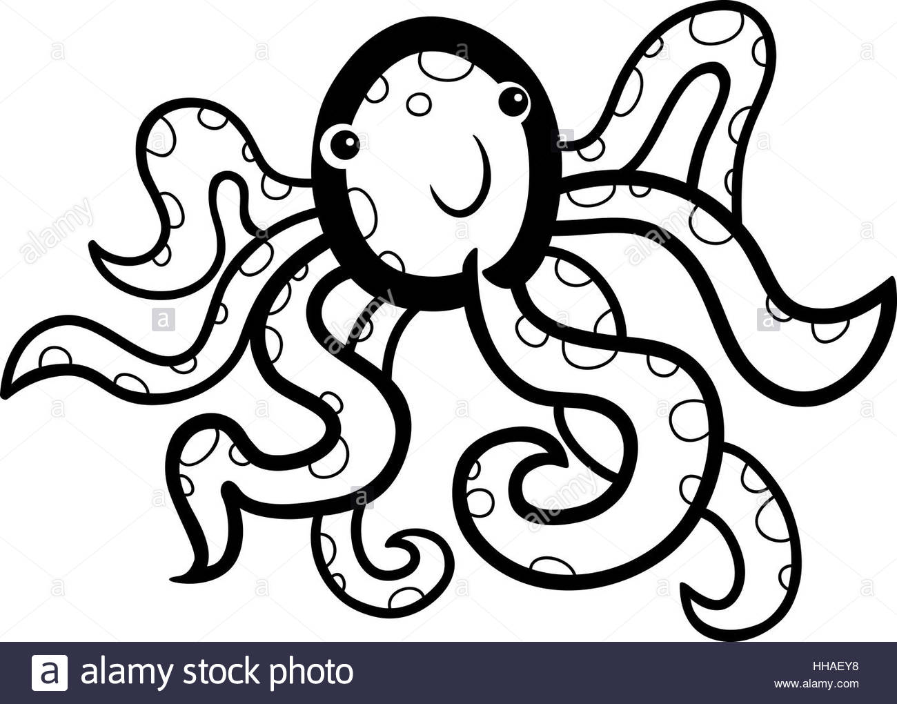 1300x1020 Squid Illustration Stock Photos Amp Squid Illustration Stock Images