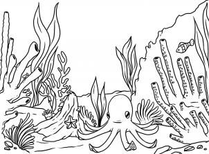 302x222 224 Best Octopus Garden Illustration Interpretation Of Song