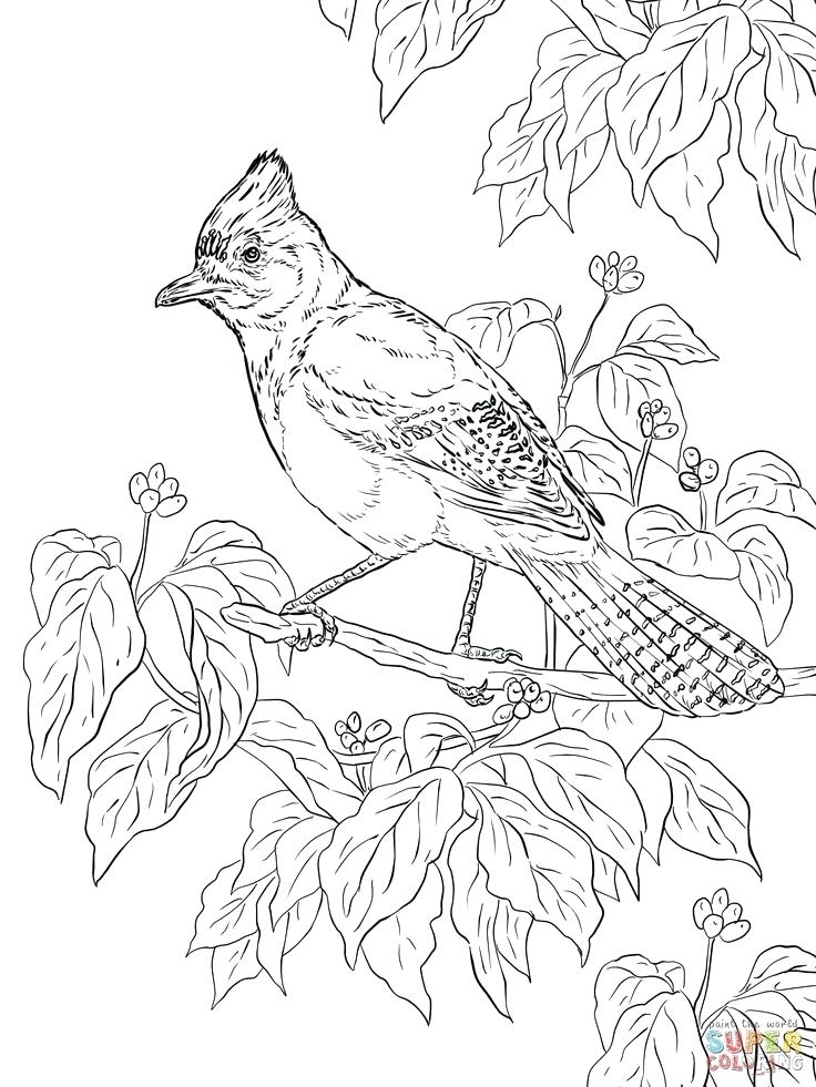 736x981 Officer Buckle And Coloring Pages Click To See Printable Officer