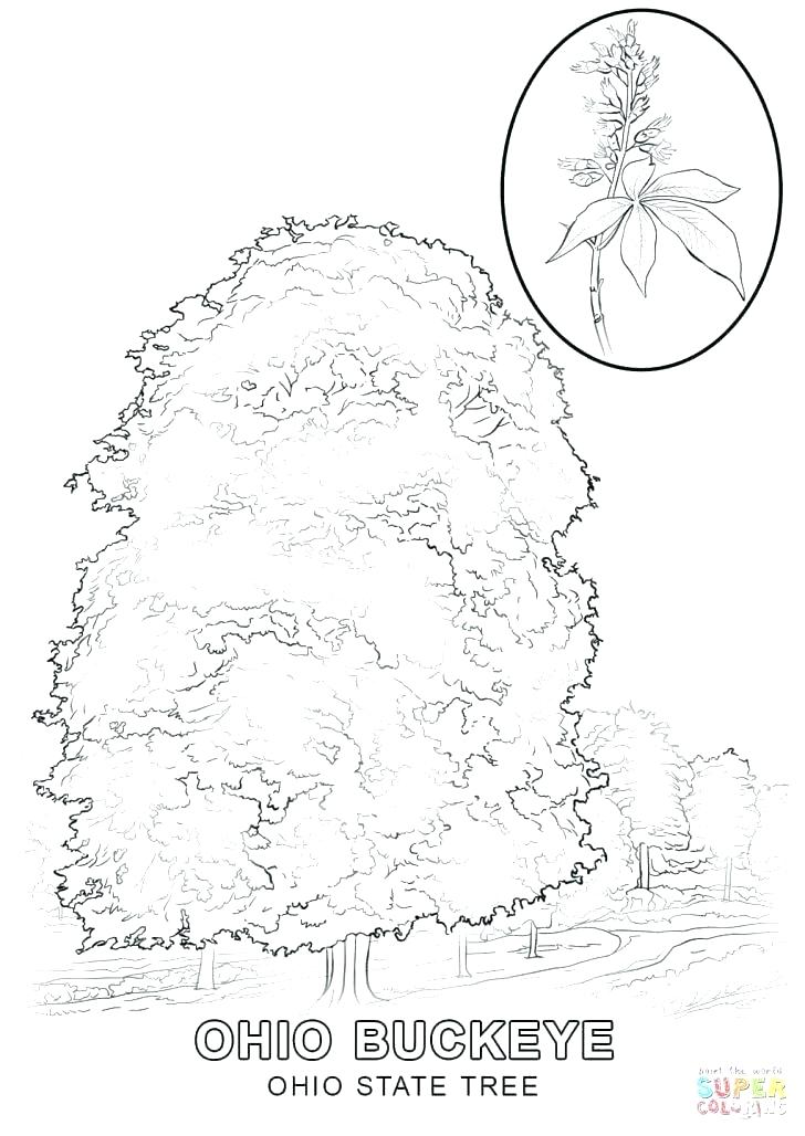 728x1028 Coloring Pages Coloring Pages Great Coloring Page Print Coloring