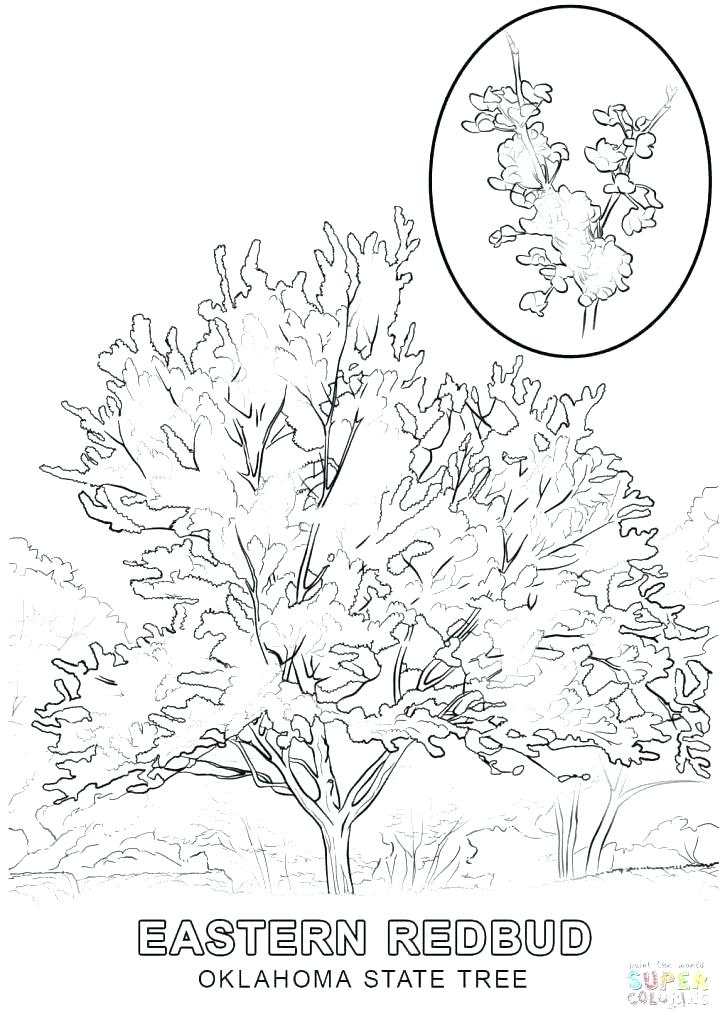 725x1024 March 2018
