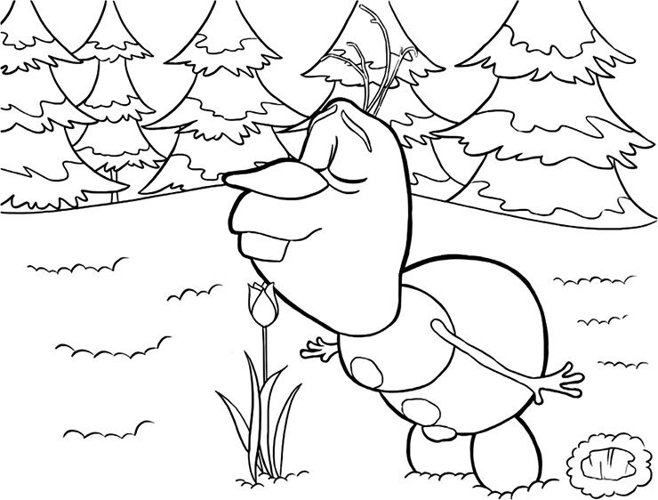 740x562 Frozens Olaf Coloring Pages Olaf, Disney Colors And Cricut