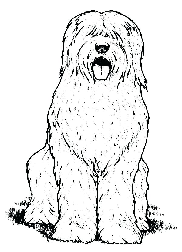 600x831 Dog Coloring Page Dog Coloring Page Color Dogs Color Pages Free