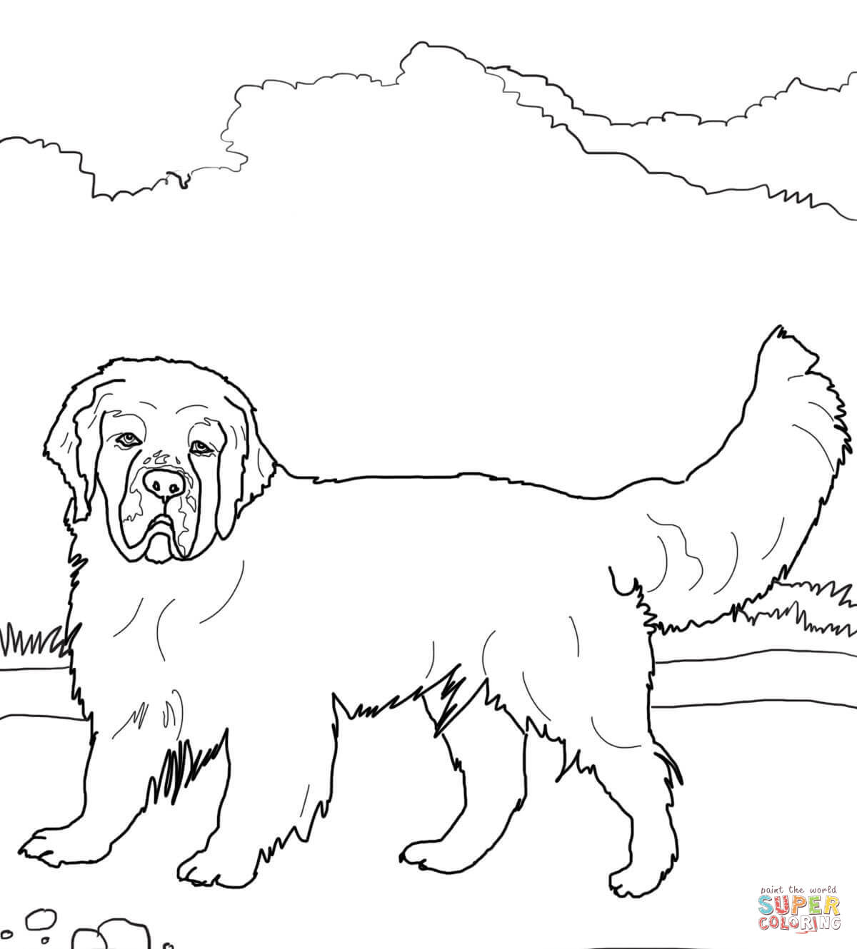 1200x1330 Love English Springer Spaniel Coloring Pages Clumber Page Free