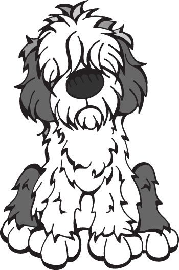 350x528 Old English Sheepdog Herding Group English