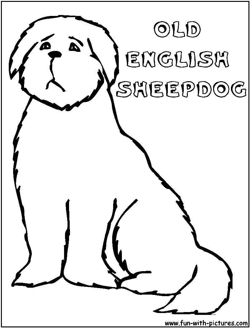 800x1050 Old English Sheepdog Coloring Pages