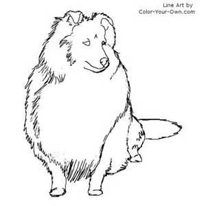 300x300 Sheltie Coloring Pages