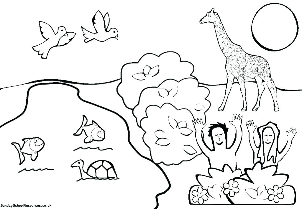 1024x711 Old Testament Coloring Pages Books Of The Bible Coloring Pages