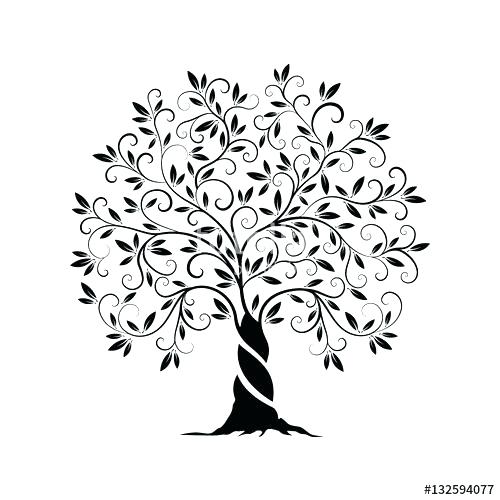 500x500 Drawing Of A Tree Bare Tree Outline Coloring Page Free Olive Tree