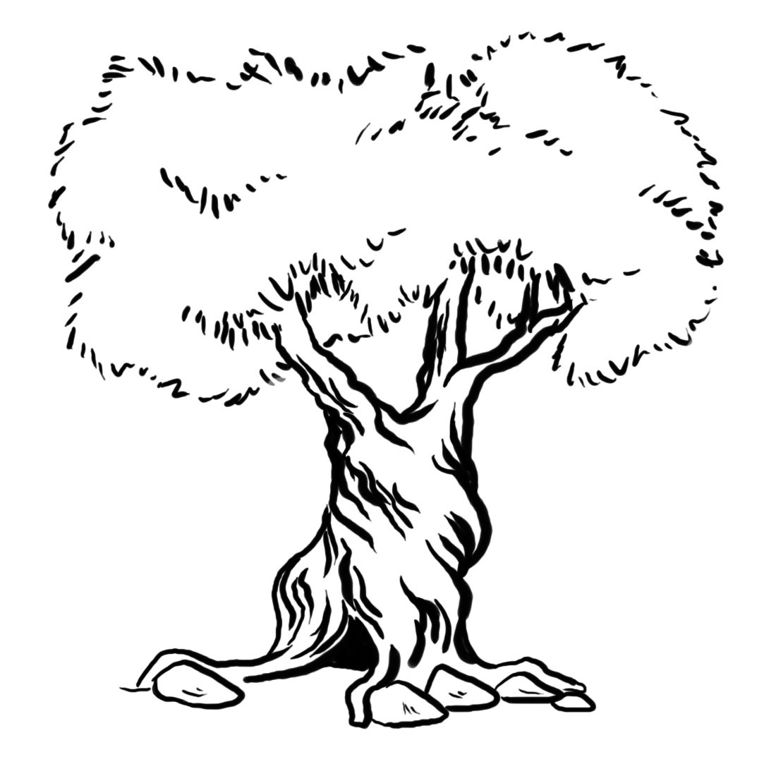 1100x1100 Olive Tree Coloring Page