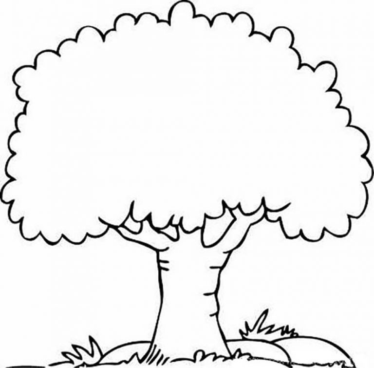 768x755 Coloring Pages Of Different Trees New Inspiring Tree Outline Image
