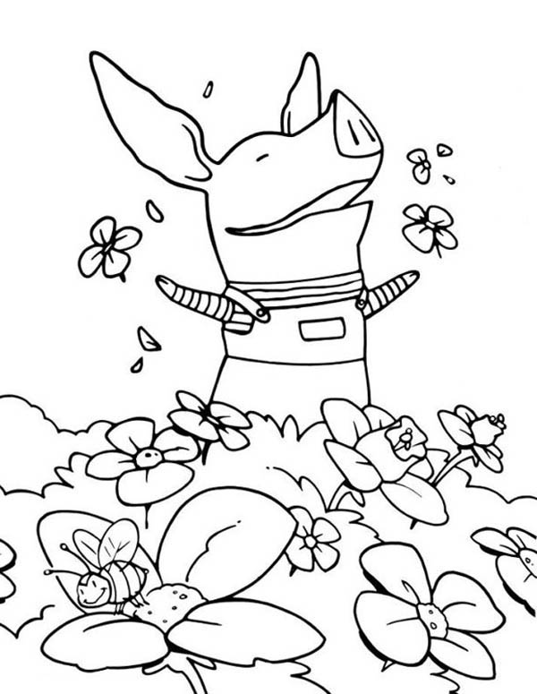 600x775 Olivia The Pig