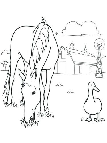 375x500 Coloring Pages Farm Coloring Pages. Ant Farm Printable Coloring