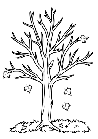 339x480 Coloring Pages For Fall Trees