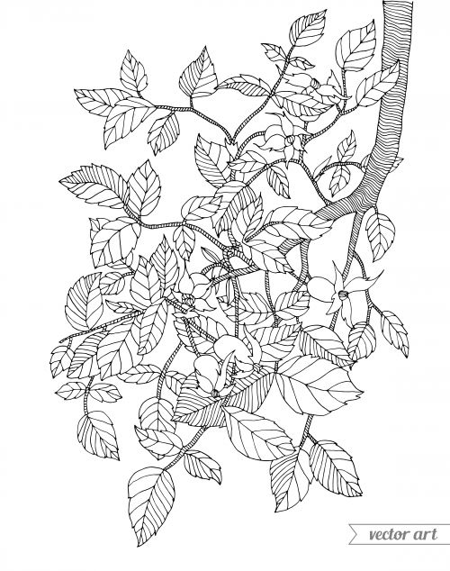 500x634 19 Best Advanced Nature Coloring Pages Images