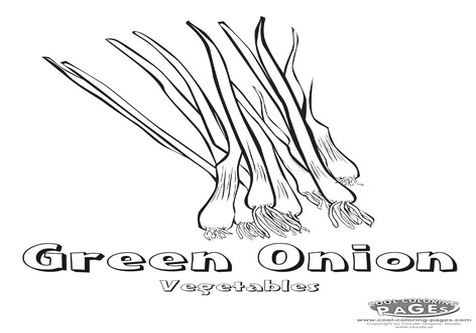 476x333 Onion Coloring Page Image Clipart Images