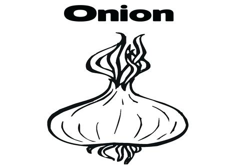 476x333 Onion Coloring Page Image Images Coloring Trend Medium Size