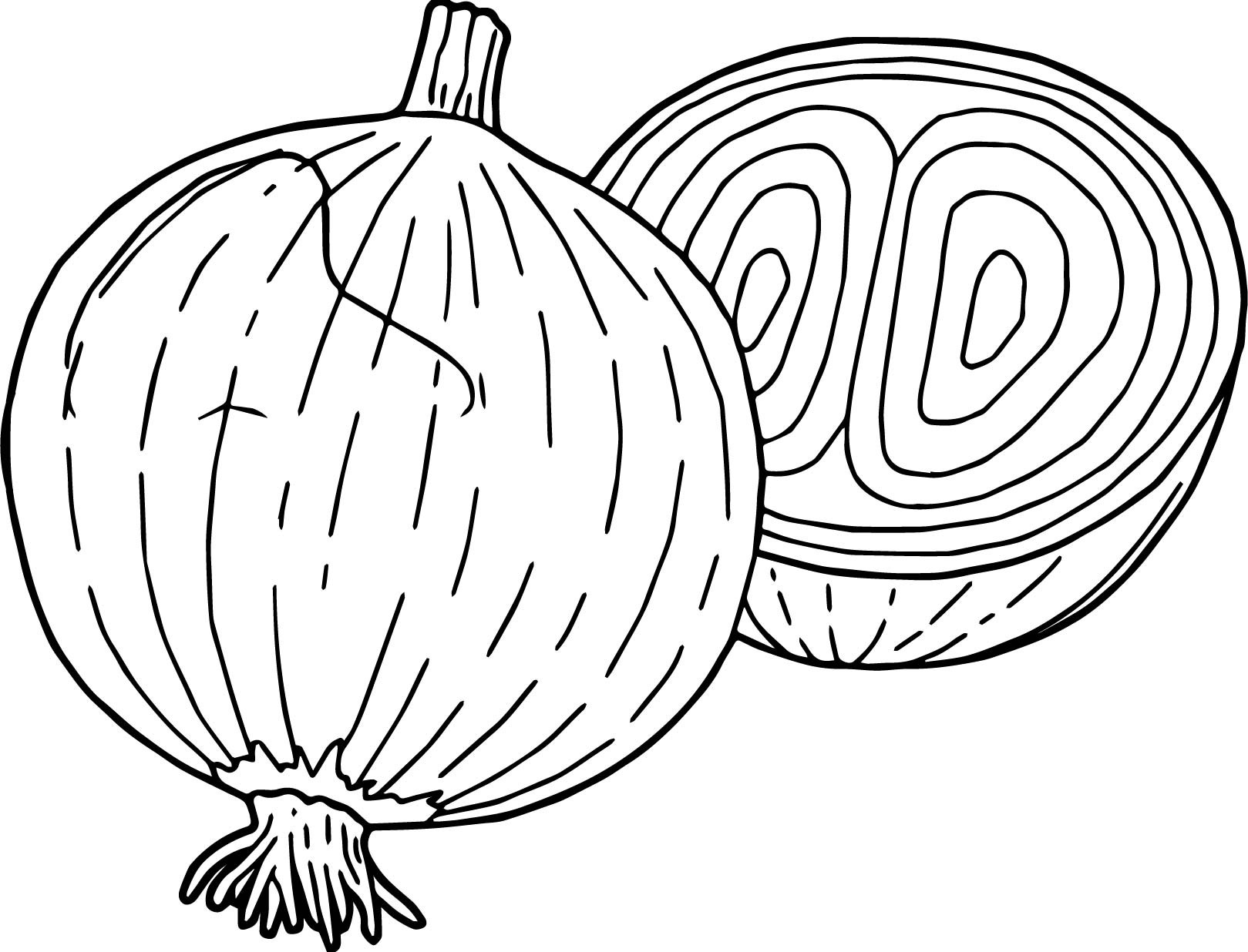 1619x1236 Onion Vegetable Coloring Page For Kids Elegant Ve Ables Ion