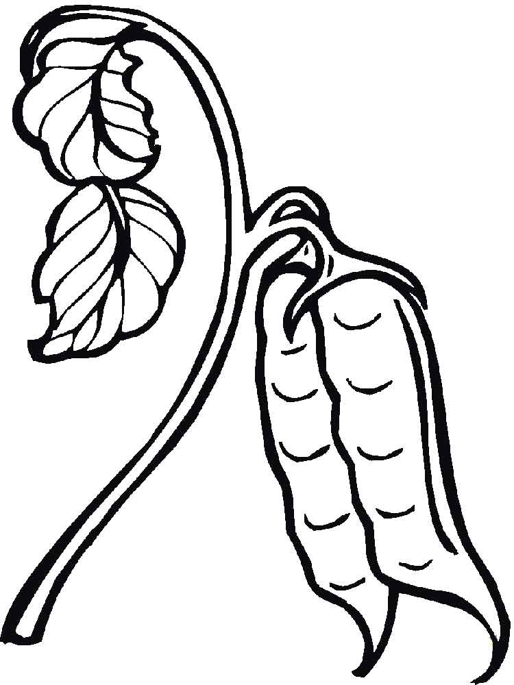 750x1000 Peas In A Pod Coloring Pages And Print